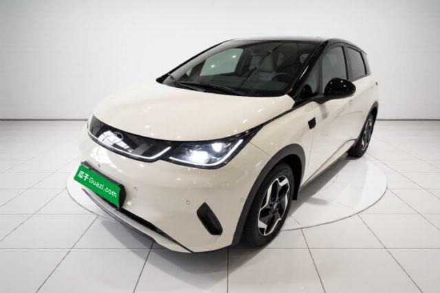 BYD Dolphin 2025 Smart Drive Version 420 km Freedom Edition de segunda mano