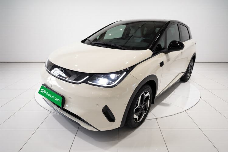 BYD Dolphin 2025 Smart Drive Version 420 km Freedom Edition usata Guazi used car, China used car export, Used car for sale, Used  cars, Cheapest cars for sale