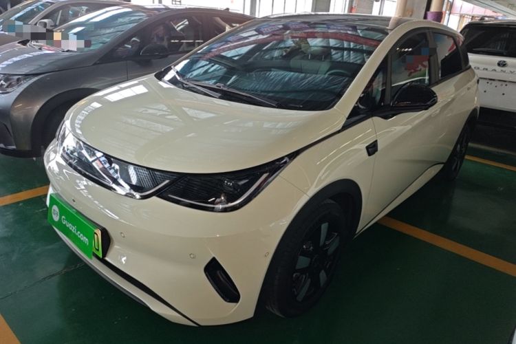 BYD Dolphin 2025 Intelligent Driving Version 410 km Fashion Edition