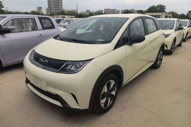 Used BYD Dolphin 2025 420km Free Edition