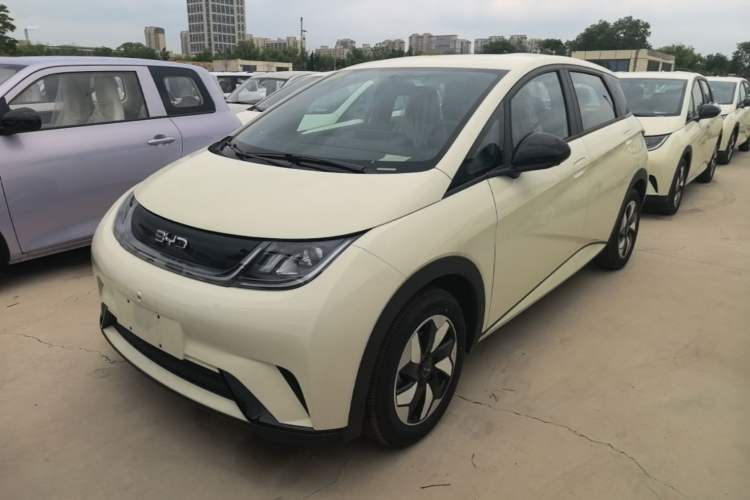 Used BYD Dolphin 2025 420km Free Edition Guazi used car, China used car export, Used car for sale, Used  cars, Cheapest cars for sale
