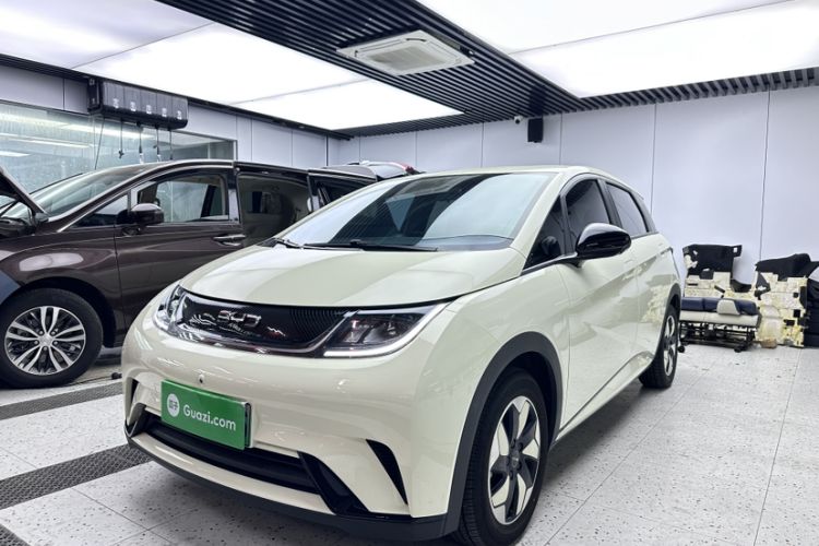 BYD Dolphin 2025 420km Free Edition