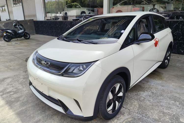 Used BYD Dolphin 2025 420km Free Edition Guazi used car, China used car export, Used car for sale, Used  cars, Cheapest cars for sale