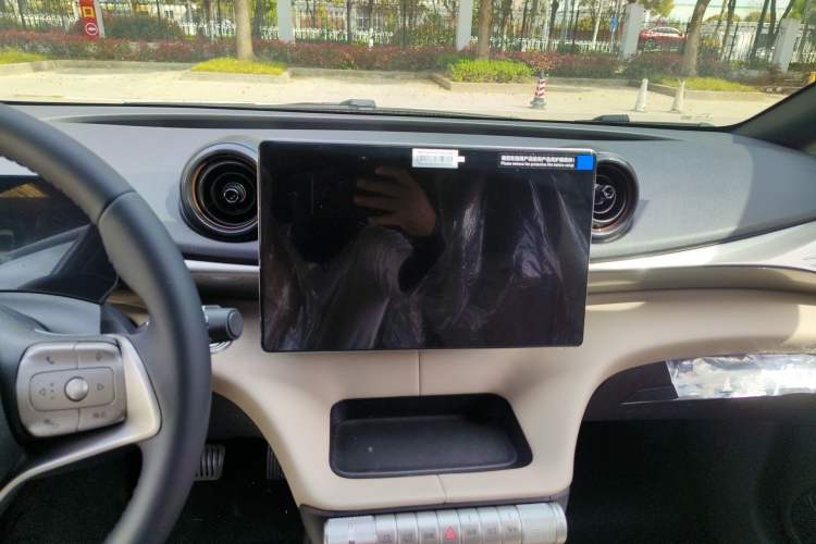 Used BYD Dolphin 2025 420km Free Edition Audio And AC Panel