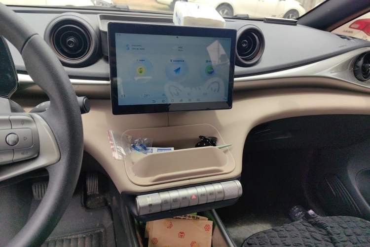 Used BYD Dolphin 2025 420km Active Version Audio And AC Panel