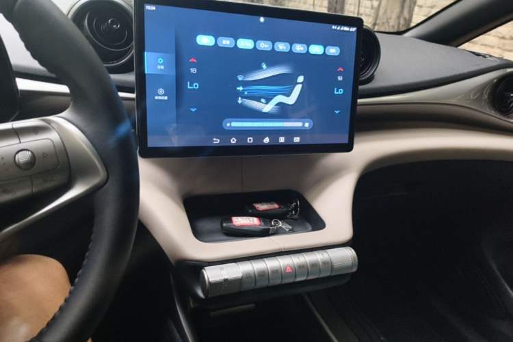 Used BYD Dolphin 2025 420km Free Edition Audio And AC Panel