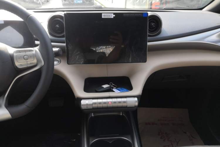 Used BYD Dolphin 2025 420km Free Edition Audio And AC Panel