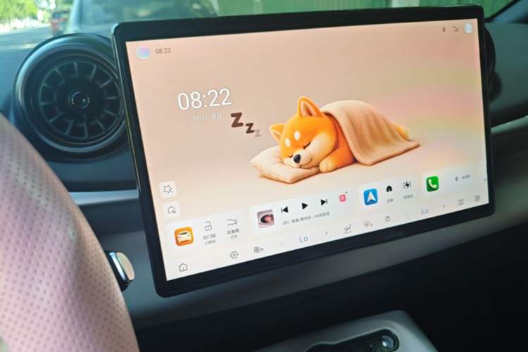 Used BYD Dolphin 2025 Smart Drive Version 420 km Freedom Edition Audio And AC Panel