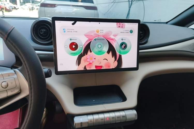Used BYD Dolphin 2025 420km Free Edition Audio And AC Panel