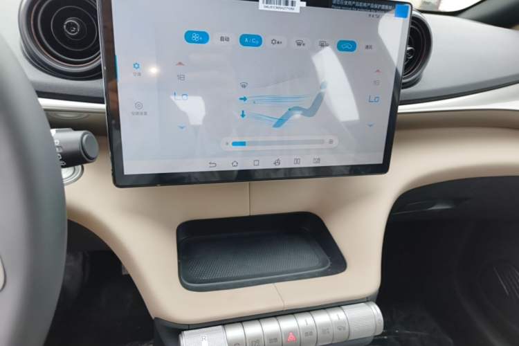 Used BYD Dolphin 2025 420km Free Edition Audio And AC Panel