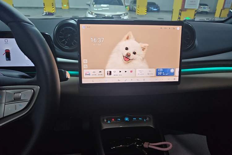 Used BYD Dolphin 2025 Intelligent Driving Version 410 km Fashion Edition Audio And AC Panel