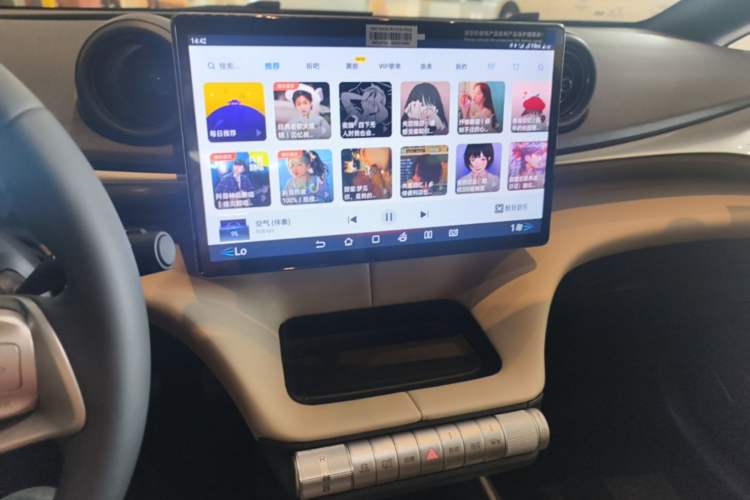 Used BYD Dolphin 2025 420km Free Edition Audio And AC Panel