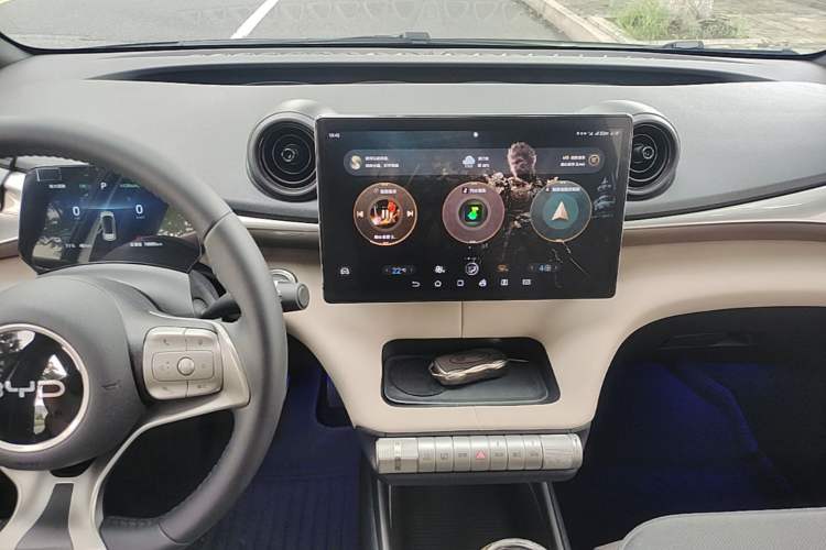 Used BYD Dolphin 2025 420km Free Edition Audio And AC Panel