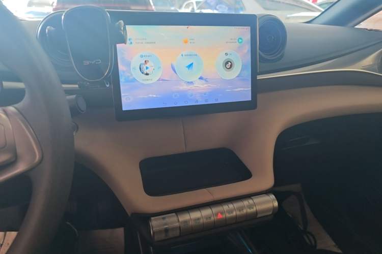Used BYD Dolphin 2025 420km Active Version Audio And AC Panel