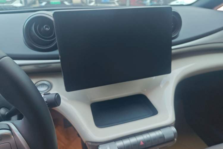 Used BYD Dolphin 2025 420km Free Edition Audio And AC Panel