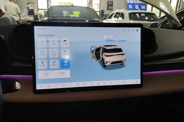 Used BYD Dolphin 2025 Intelligent Driving Version 410 km Fashion Edition Audio And AC Panel
