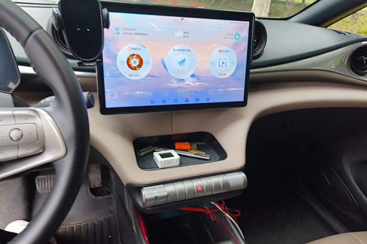Used BYD Dolphin 2025 420km Free Edition Audio And AC Panel