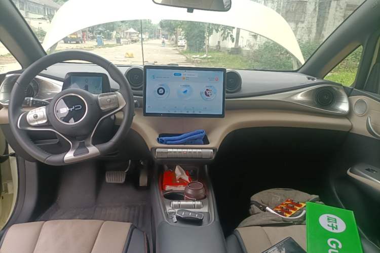 Used BYD Dolphin 2025 420km Free Edition Audio And AC Panel