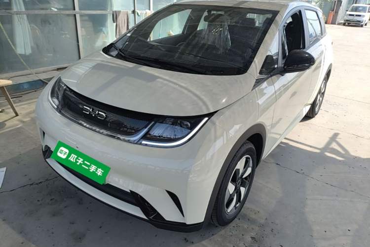 BYD Dolphin 2025 420km Free Edition