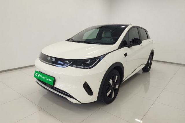 Used BYD Dolphin 2025 Intelligent Driving Version 410 km Fashion Edition