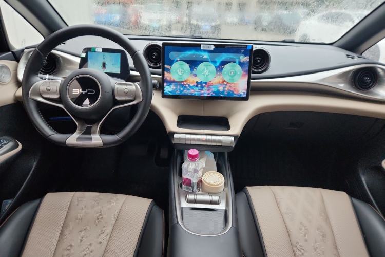 Used BYD Dolphin 2025 420km Free Edition Center Console