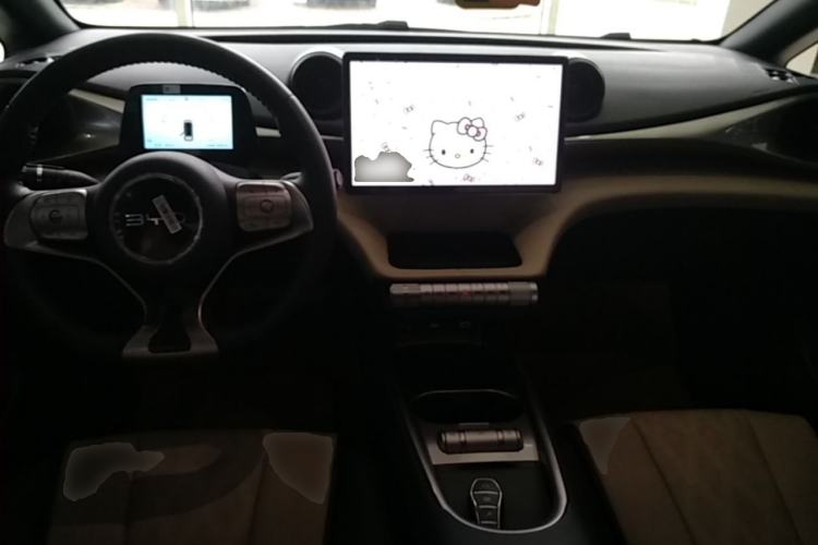 Used BYD Dolphin 2025 420km Free Edition Center Console