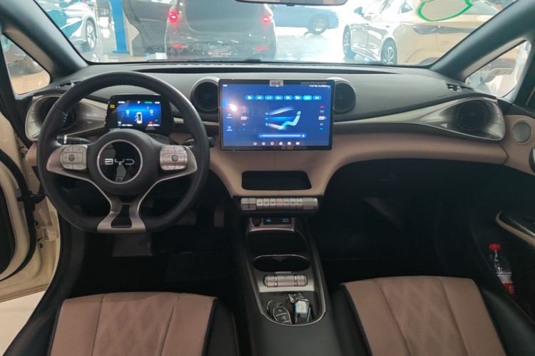 Used BYD Dolphin 2025 420km Fashion Edition Center Console