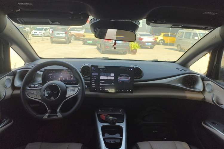 Used BYD Dolphin 2025 Smart Drive Version 420 km Freedom Edition Center Console
