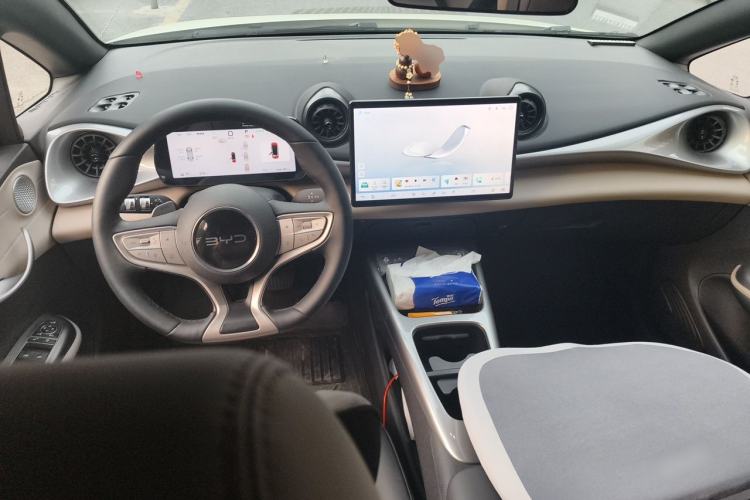 Used BYD Dolphin 2025 Smart Drive Version 420 km Freedom Edition Center Console