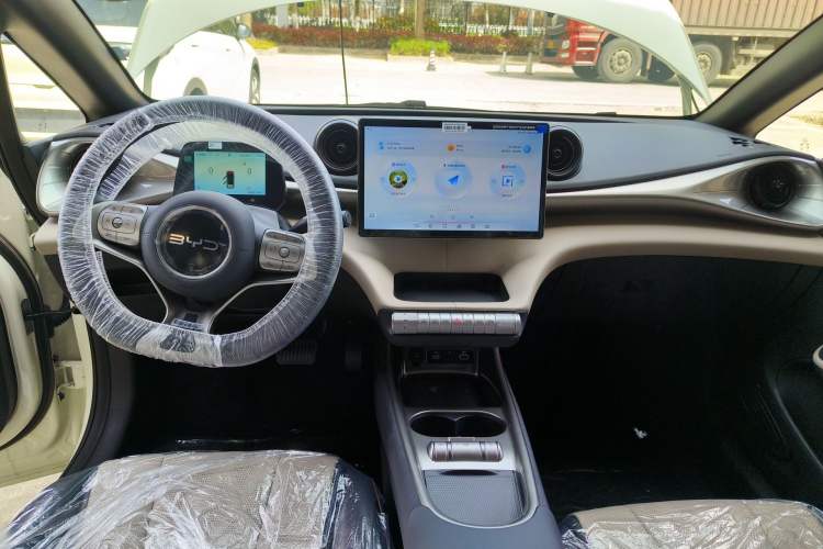 Used BYD Dolphin 2025 420km Free Edition Center Console