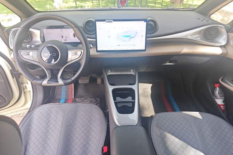 Used BYD Dolphin 2025 Smart Drive Version 420 km Freedom Edition Center Console