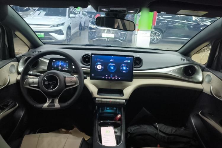 Used BYD Dolphin 2025 420km Fashion Edition Center Console