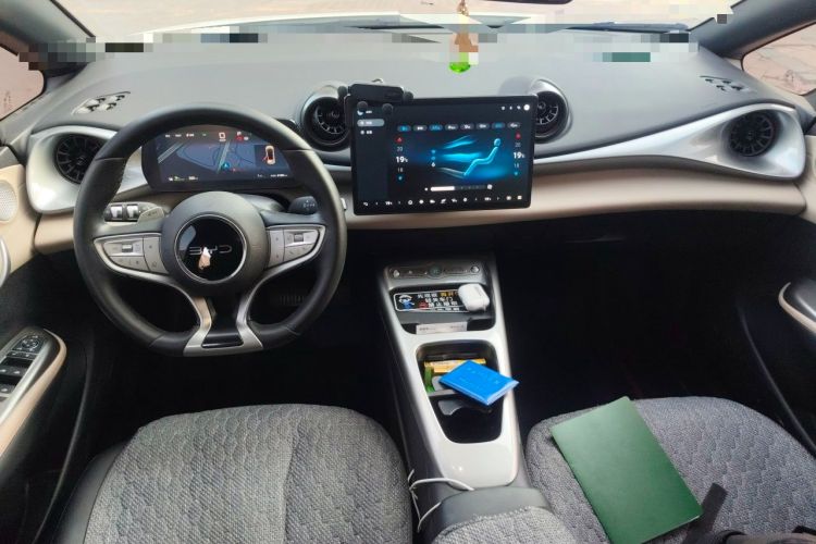 Used BYD Dolphin 2025 Smart Drive Version 420 km Freedom Edition Center Console