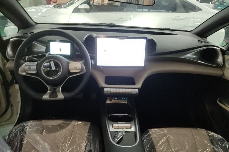Used BYD Dolphin 2025 420km Free Edition Center Console