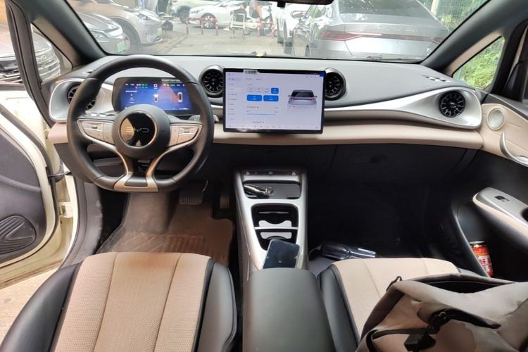 Used BYD Dolphin 2025 Smart Drive Version 420 km Freedom Edition Center Console