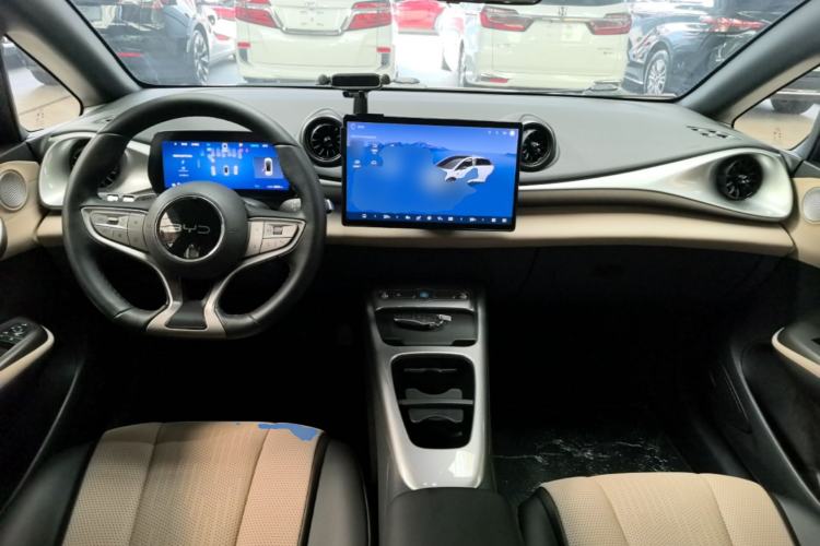 Used BYD Dolphin 2025 Smart Drive Version 420 km Freedom Edition Center Console