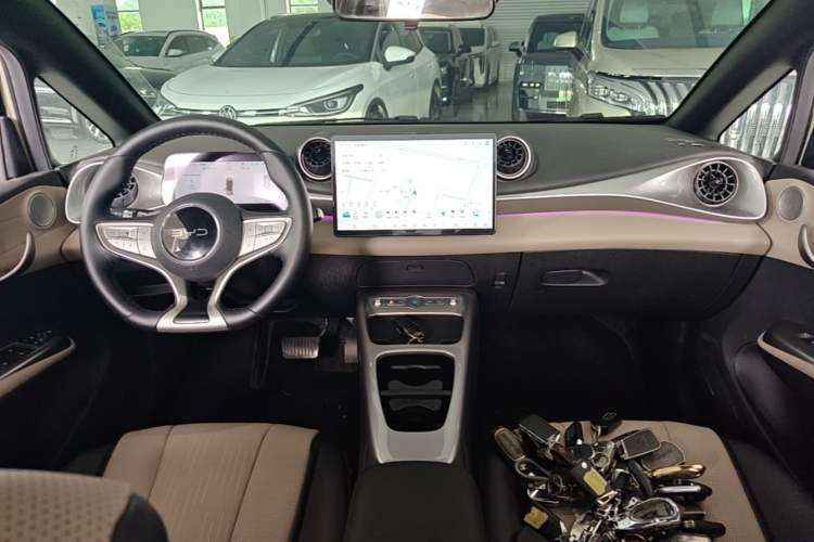 Used BYD Dolphin 2025 Intelligent Driving Version 410 km Fashion Edition Center Console