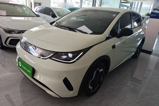 Used BYD Dolphin 2025 Smart Drive Version 420 km Freedom Edition