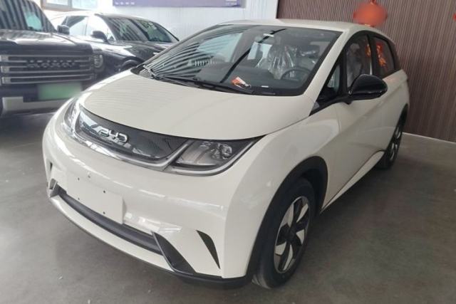 Used BYD Dolphin 2025 420km Free Edition