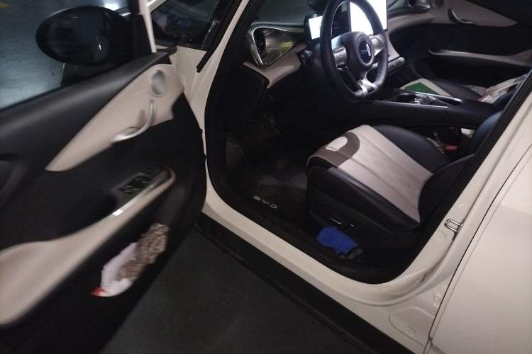 Used BYD Dolphin 2025 420km Free Edition Driver Seat