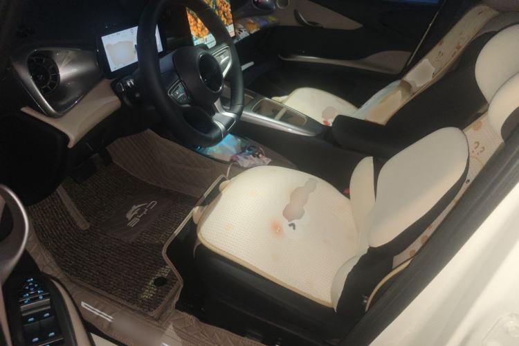 Used BYD Dolphin 2025 Smart Drive Version 420 km Freedom Edition Driver Seat