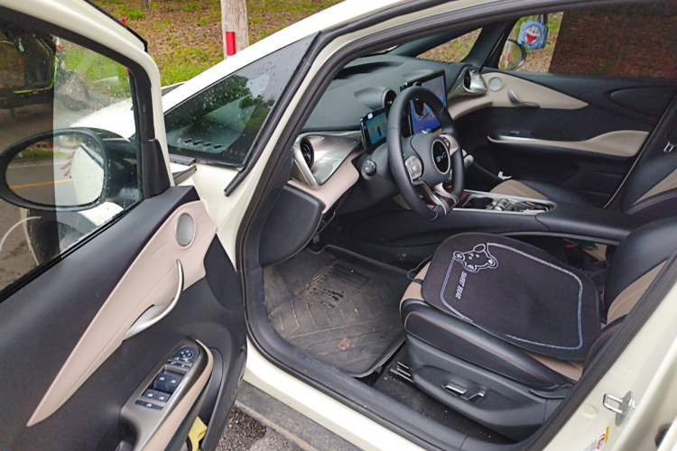 Used BYD Dolphin 2025 420km Free Edition Driver Seat