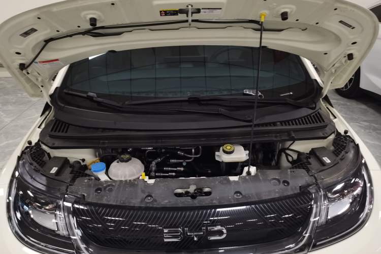 Used BYD Dolphin 2025 420km Free Edition Engine Bay