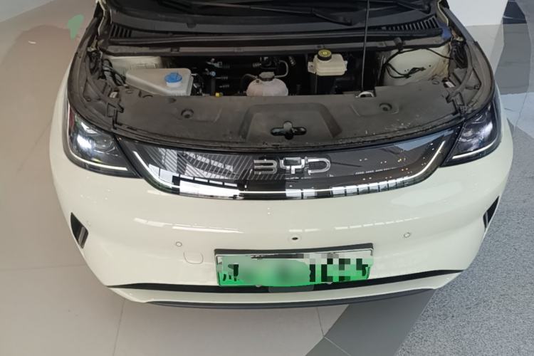 Used BYD Dolphin 2025 Intelligent Driving Version 410 km Fashion Edition Engine Bay