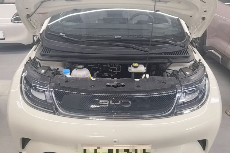 Used BYD Dolphin 2025 Smart Drive Version 420 km Freedom Edition Engine Bay