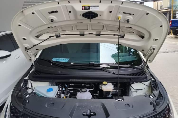 Used BYD Dolphin 2025 Smart Drive Version 420 km Freedom Edition Engine Bay