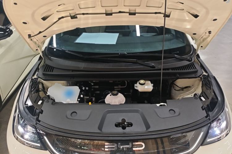 Used BYD Dolphin 2025 Intelligent Driving Version 410 km Fashion Edition Engine Bay