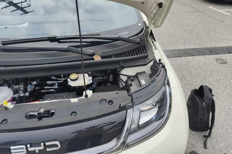Used BYD Dolphin 2025 420km Free Edition Engine Bay Left