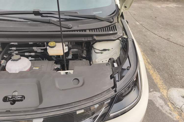 Used BYD Dolphin 2025 Smart Drive Version 420 km Freedom Edition Engine Bay Left