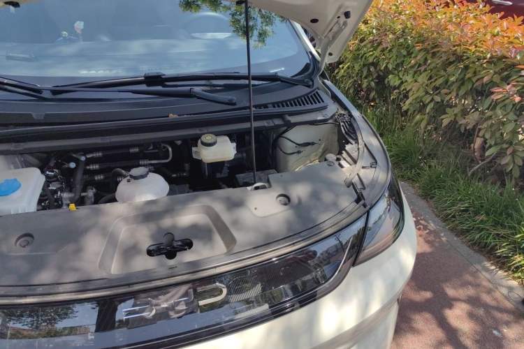 Used BYD Dolphin 2025 Intelligent Driving Version 410 km Fashion Edition Engine Bay Left